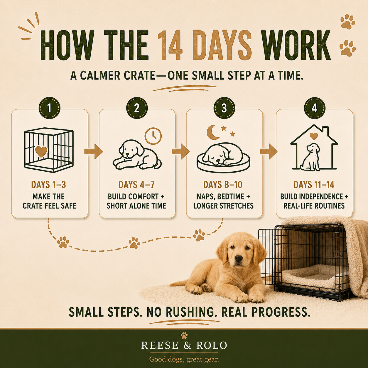 14-Day Crate Training Game Plan