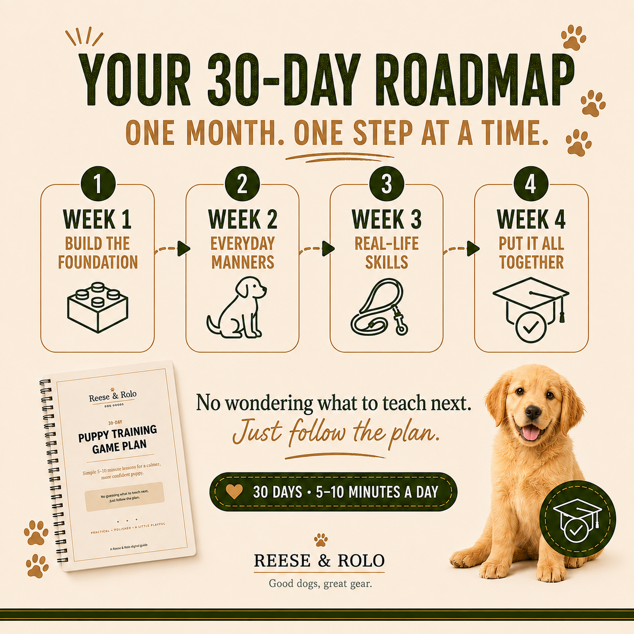 30-Day Puppy Training Game Plan