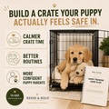 14-Day Crate Training Game Plan