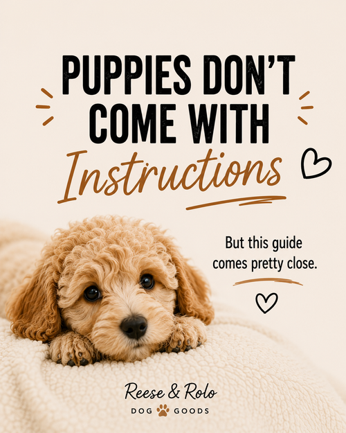 The Puppy Bundle | Reese & Rolo