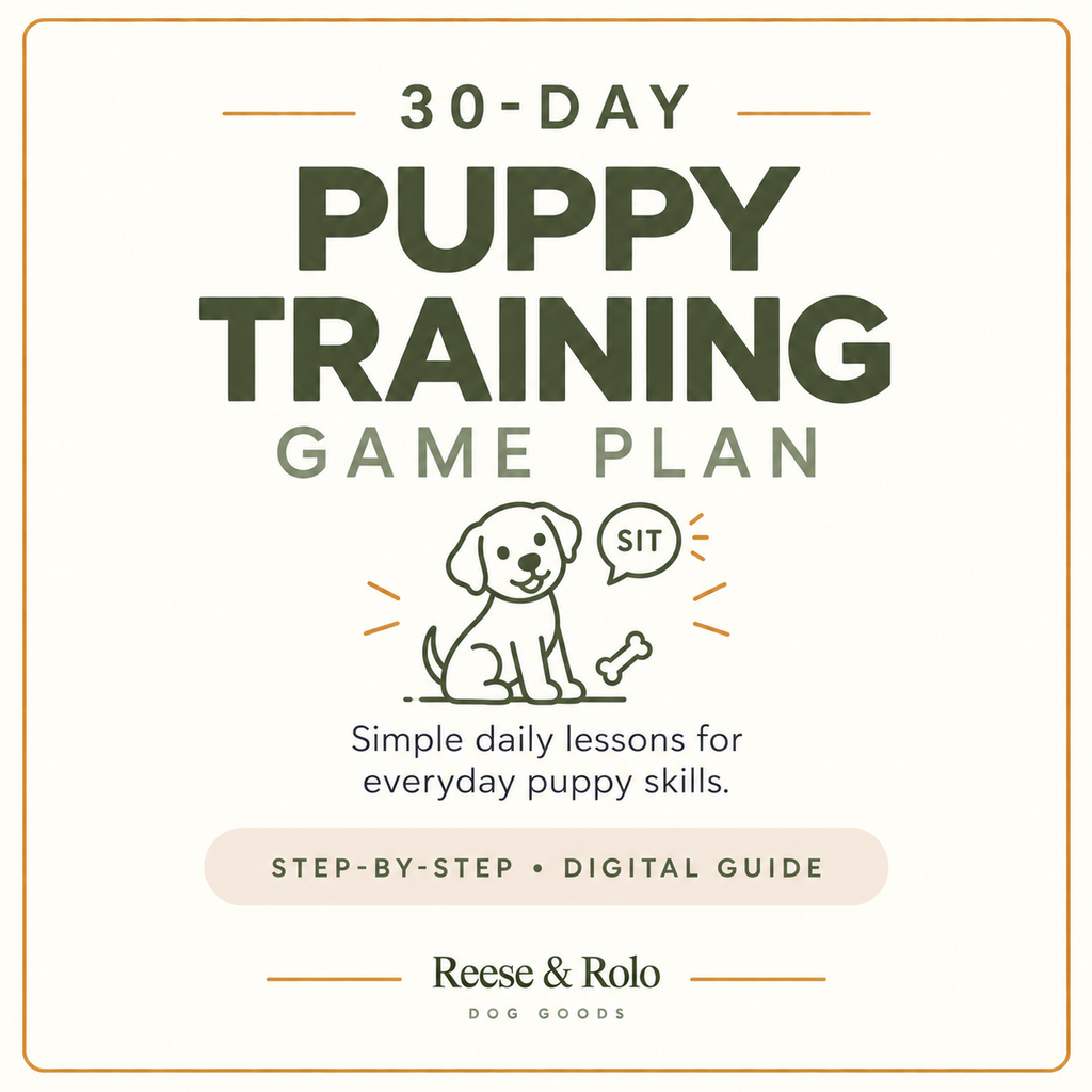30-Day Puppy Training Game Plan