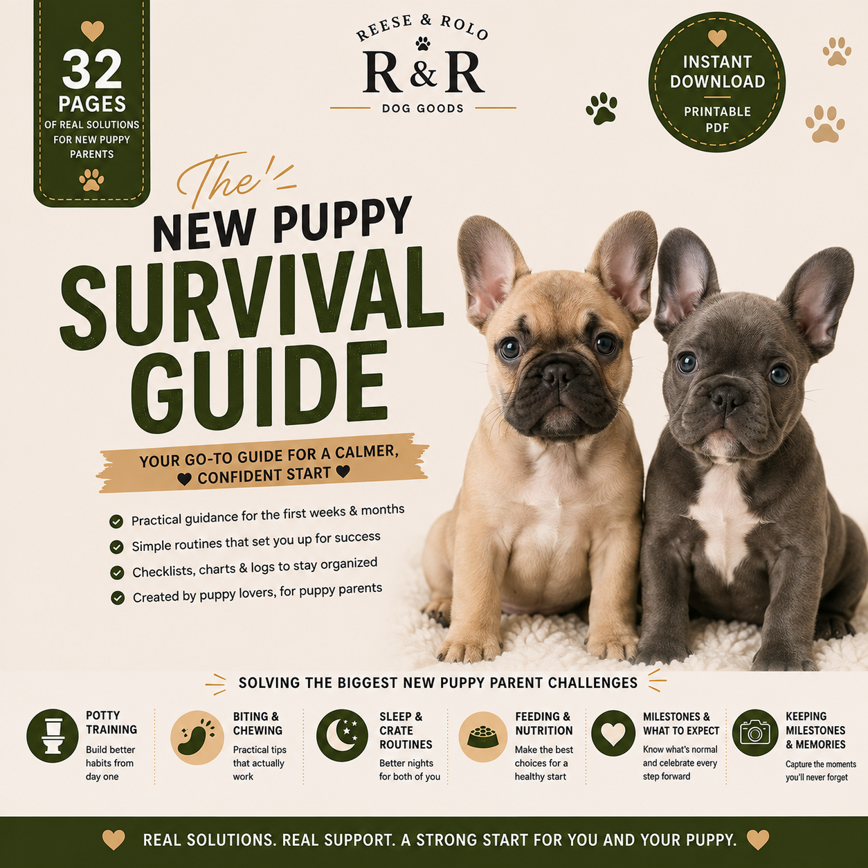 New Puppy Survival Guide | Reese & Rolo