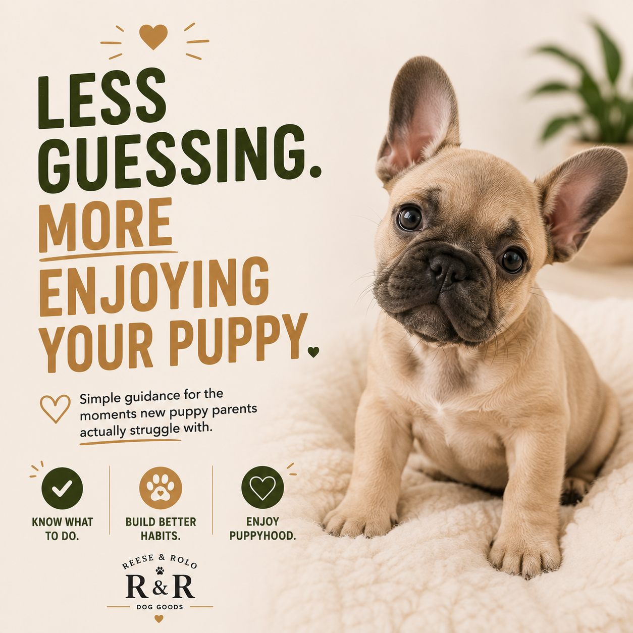 New Puppy Survival Guide | Reese & Rolo